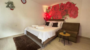 SWEET apartment near Old Town